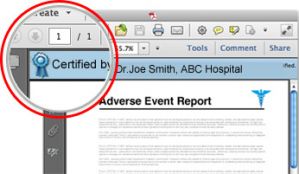 Сертифицированная  подпись сертификатом PDF в документе Adobe
